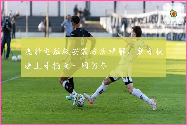 虎扑电脑版安装方法详解，新手快速上手指南一网打尽