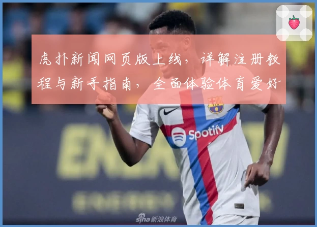 虎扑新闻网页版上线，详解注册教程与新手指南，全面体验体育爱好者的交流社区
