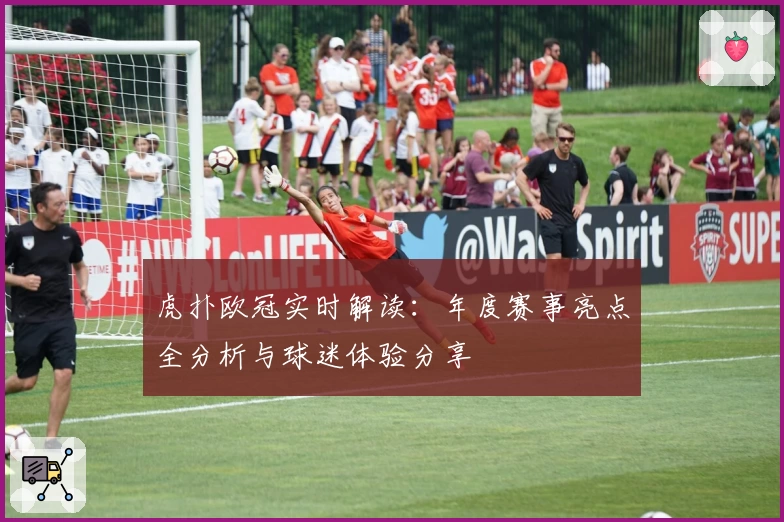 虎扑欧冠实时解读：年度赛事亮点全分析与球迷体验分享